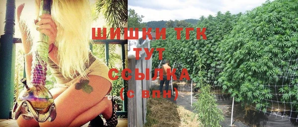 индика Богородицк