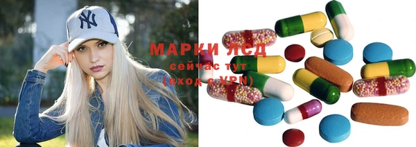 индика Богородицк