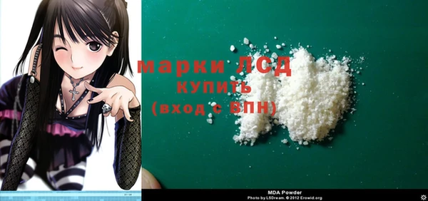 индика Богородицк