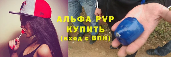 индика Богородицк