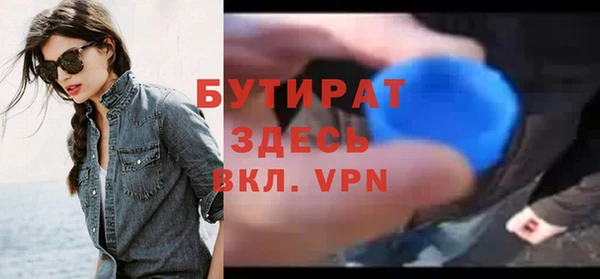 индика Богородицк