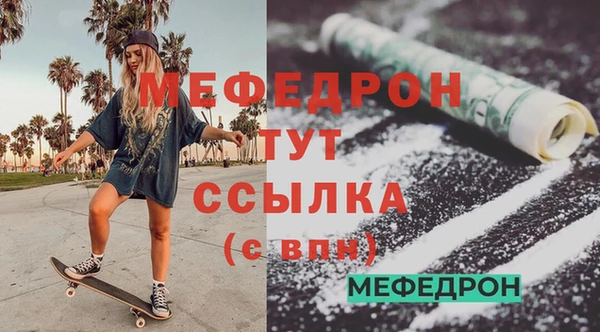 индика Богородицк