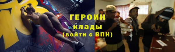 индика Богородицк