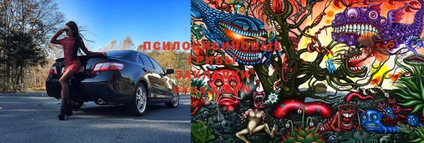 индика Богородицк