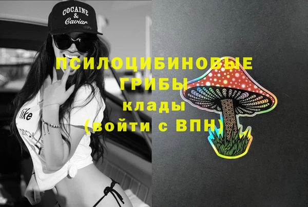 крисы Богданович