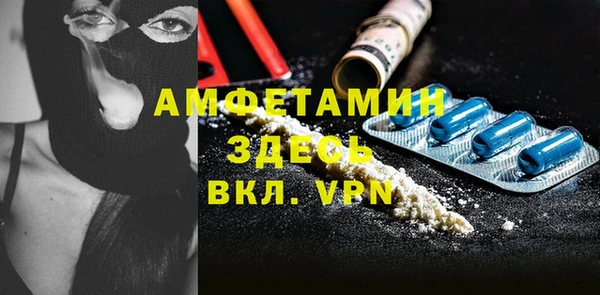 индика Богородицк