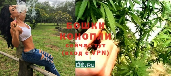 индика Богородицк