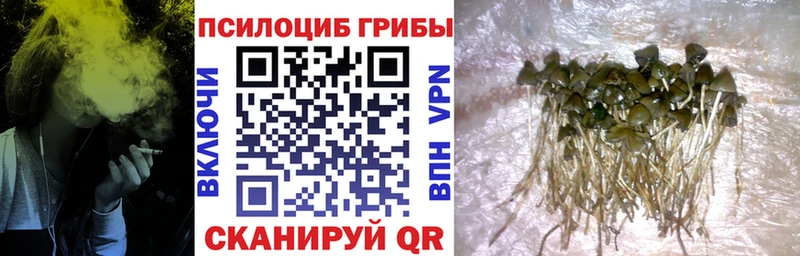 Галлюциногенные грибы ЛСД Ковдор