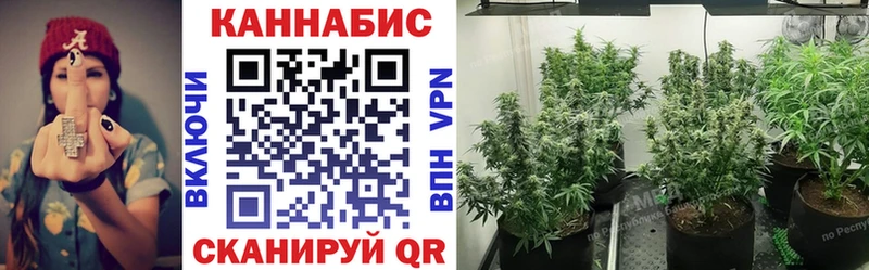 Канабис AK-47  нарко площадка состав  Ковдор 